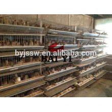 Full Automatic Quail Layer Cage